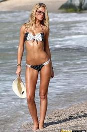 Hot Celeb Babe Erin Heatherton 01