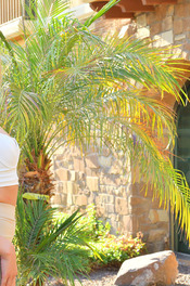 A Sensual Dresser 09