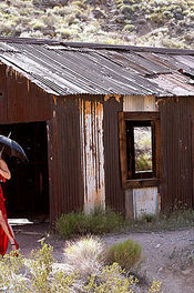 Aria Giovanni Classic Bitch 14