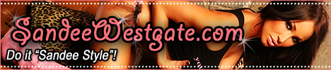 sandeecash.com banner