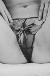 Pink Feathers 18