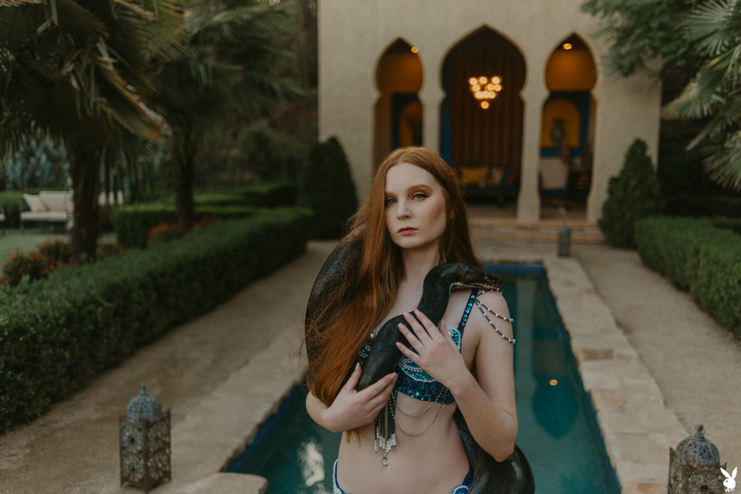 Daring Desires 04
