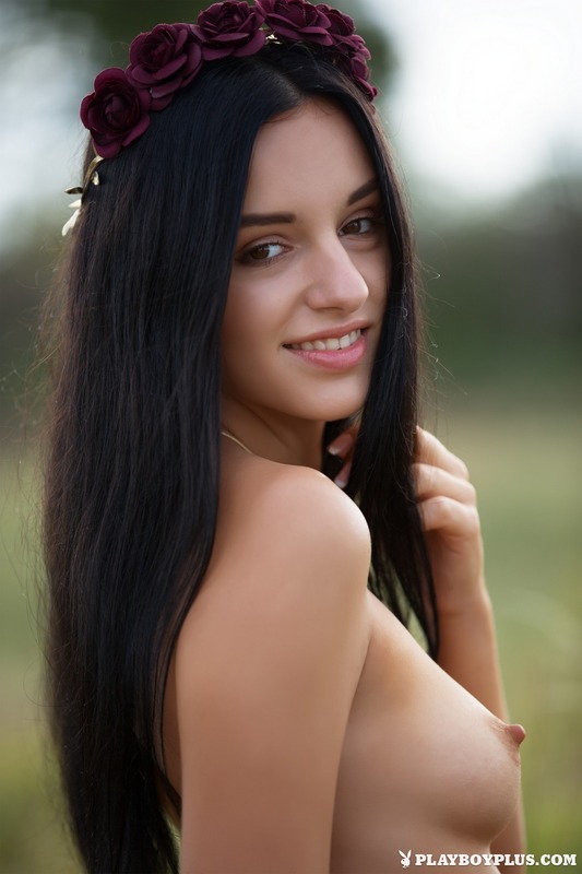 Meadow Rose 00