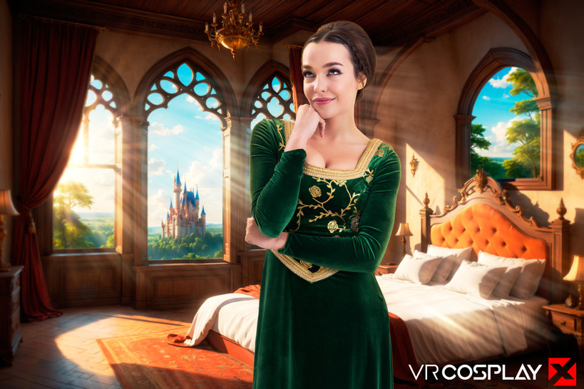 Shrek: Princess Discovers Modern Pleasures in Stone Castle Loft 14